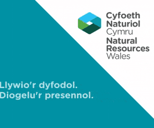 109905 NRW Infrastructure 300x250 Welsh-300x250-px-Optimized 